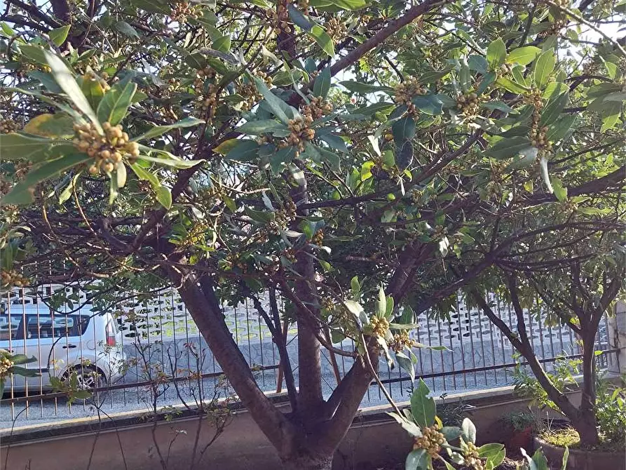 Immagine 25 di Casa bifamiliare in vendita  in Via Tirassegno 44 a Rivoli