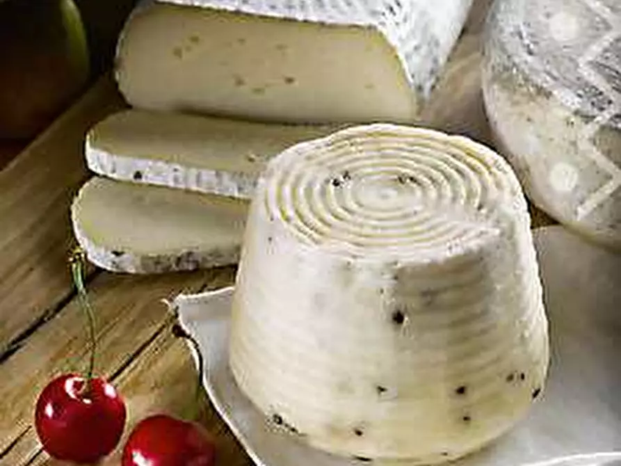 Immagine 54 di Casa indipendente in vendita  in Regione Brua - Via del brich  11 a Martiniana Po