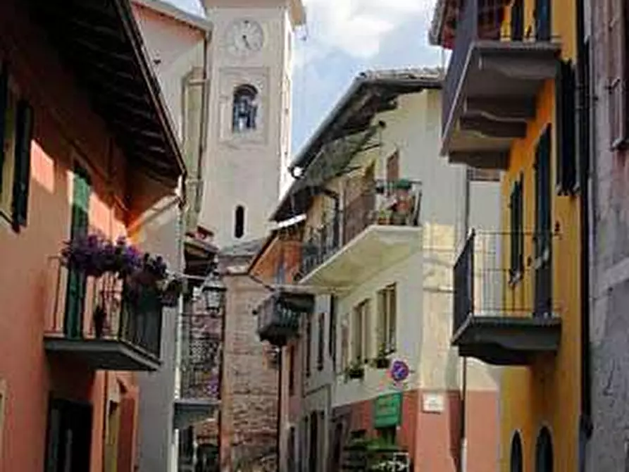 Immagine 50 di Casa indipendente in vendita  in Regione Brua - Via del brich  11 a Martiniana Po