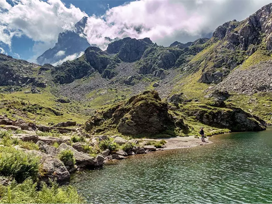 Immagine 49 di Casa indipendente in vendita  in Regione Brua - Via del brich  11 a Martiniana Po