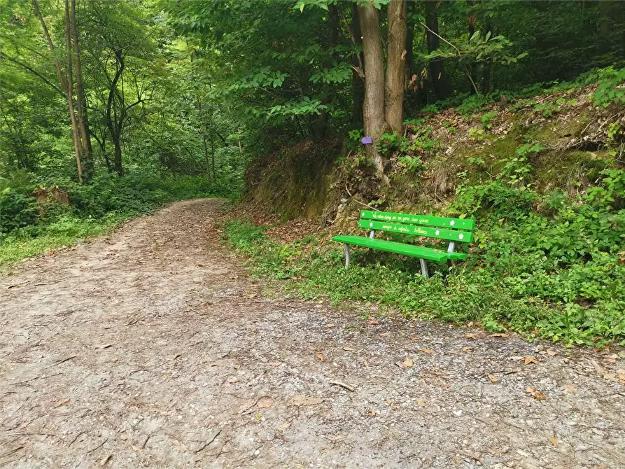 Immagine 72 di Casa indipendente in vendita  in Regione Brua - Via del brich  11 a Martiniana Po