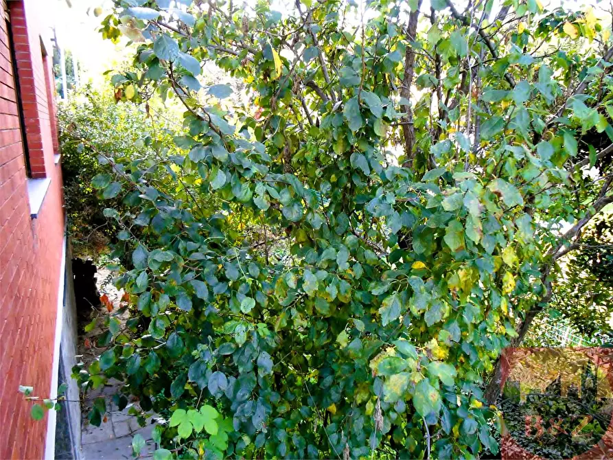 Immagine 121 di Villa in vendita  in Viale XXV aprile 10 a Rosta