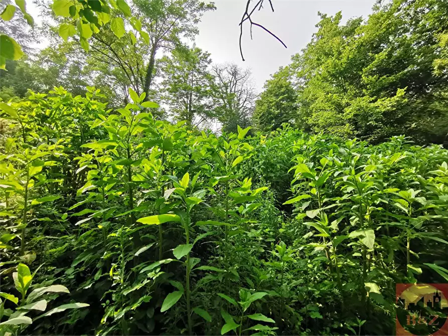 Immagine 47 di Rustico / casale in vendita  in Regione Carlevè 37 a Villarbasse