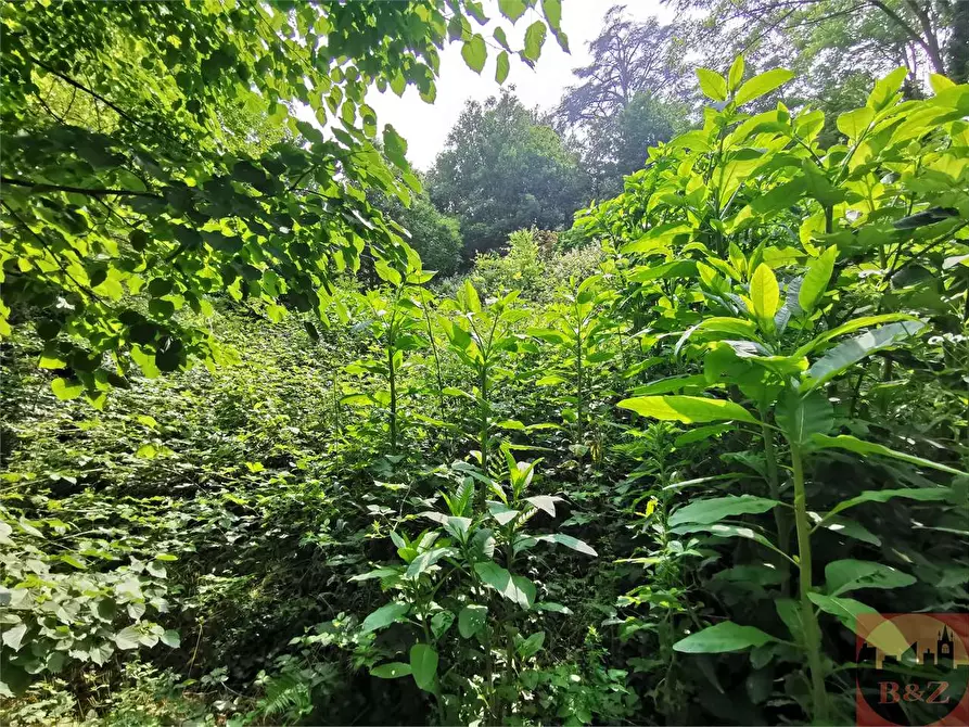 Immagine 48 di Rustico / casale in vendita  in Regione Carlevè 37 a Villarbasse