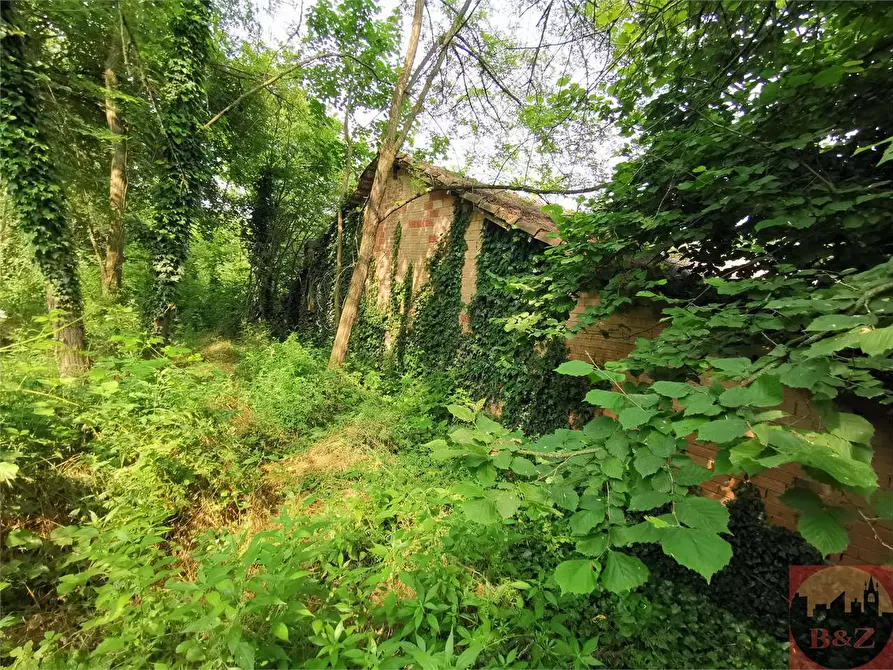 Immagine 49 di Rustico / casale in vendita  in Regione Carlevè 37 a Villarbasse