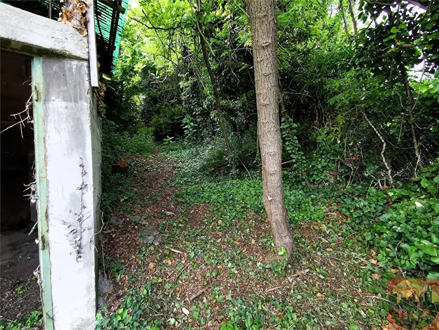 Immagine 125 di Rustico / casale in vendita  in Regione Carlevè 37 a Villarbasse