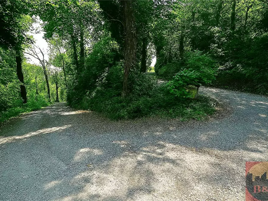 Immagine 19 di Villa in vendita  in Regione Carlevè 36 a Villarbasse