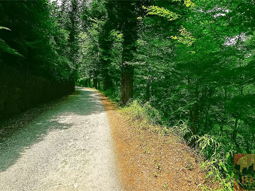 Immagine 18 di Villa in vendita  in Regione Carlevè 36 a Villarbasse