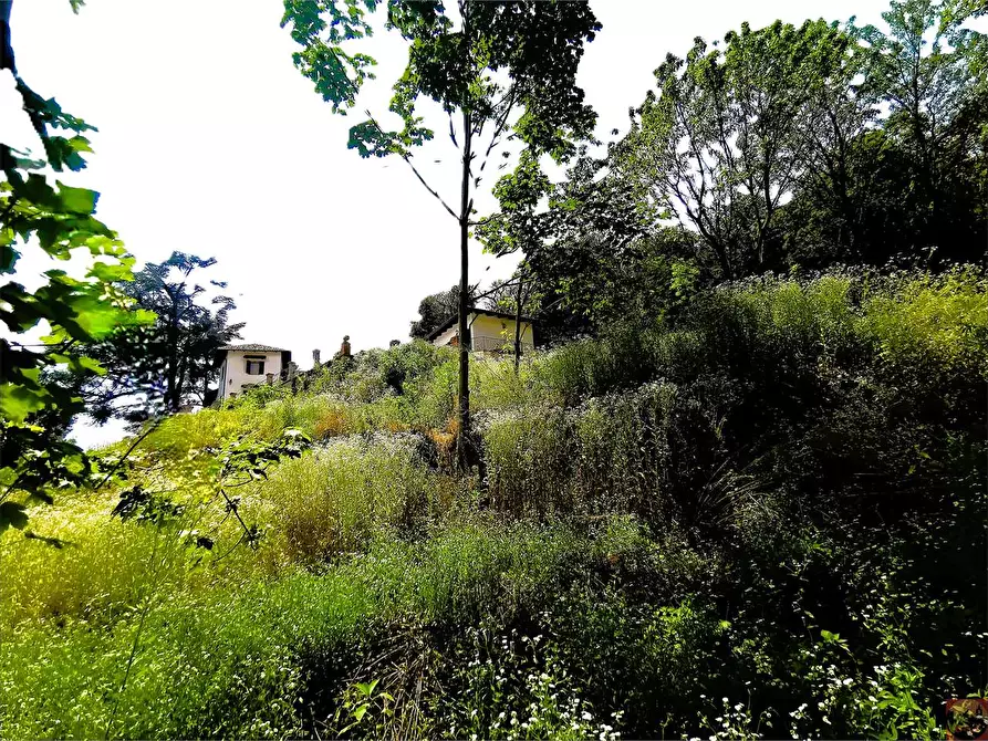 Immagine 161 di Villa in vendita  in Regione Carlevè 36 a Villarbasse