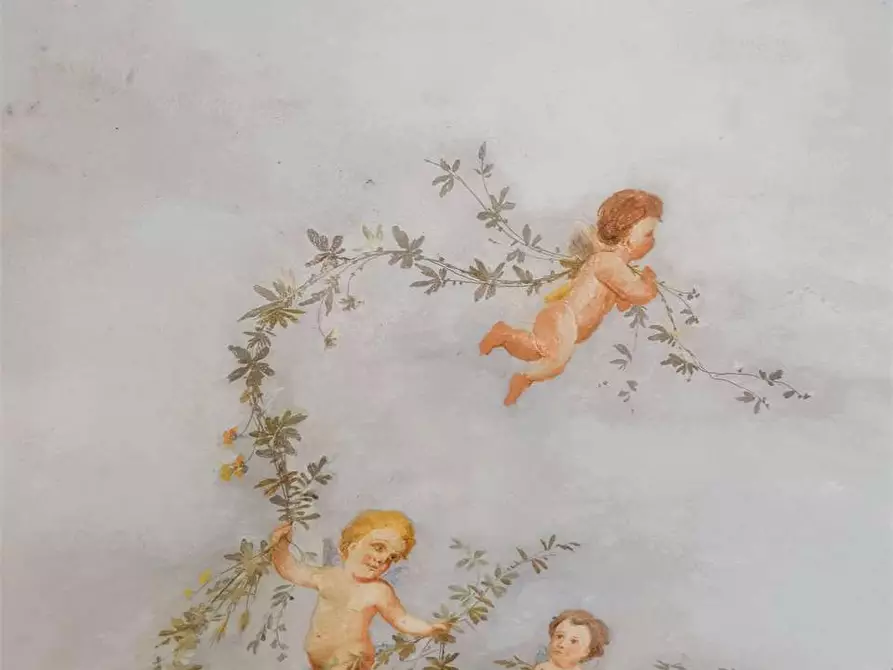 Immagine 70 di Villa in vendita  in Regione Carlevè 36 a Villarbasse