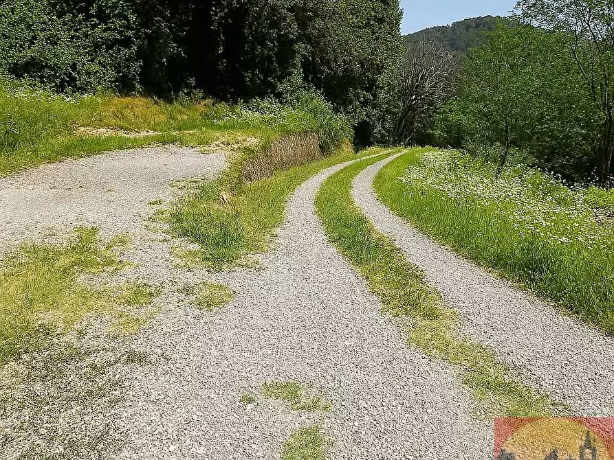 Immagine 22 di Villa in vendita  in Regione Carlevè 36 a Villarbasse