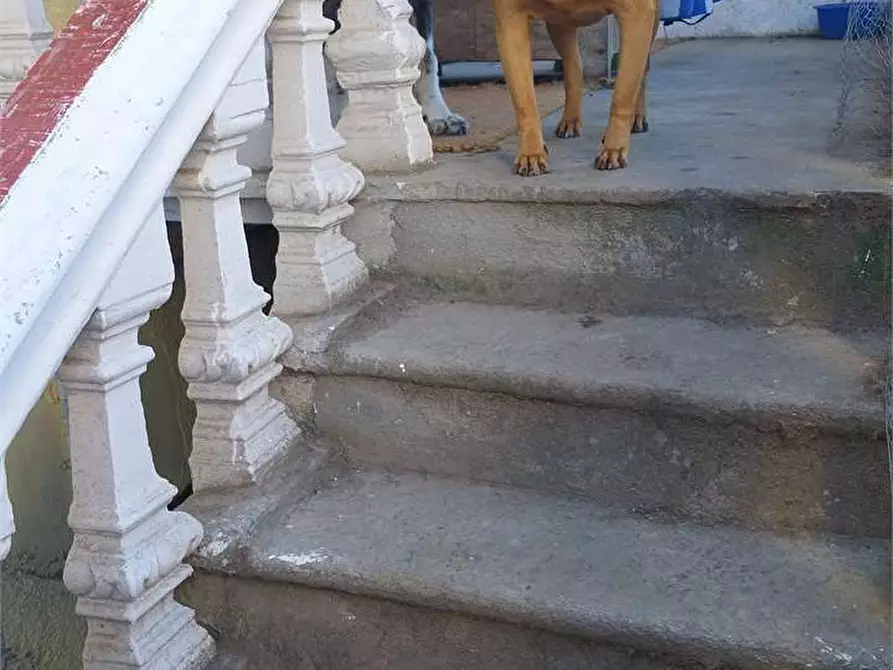 Immagine 21 di Porzione di casa in vendita  a Trana