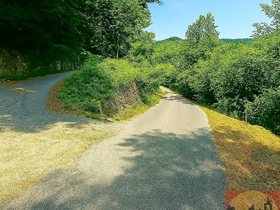 Immagine 159 di Villa in vendita  in Regione Carlevè 36 a Villarbasse