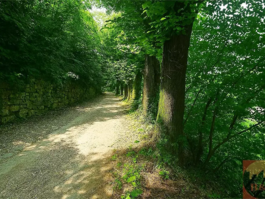 Immagine 160 di Villa in vendita  in Regione Carlevè 36 a Villarbasse