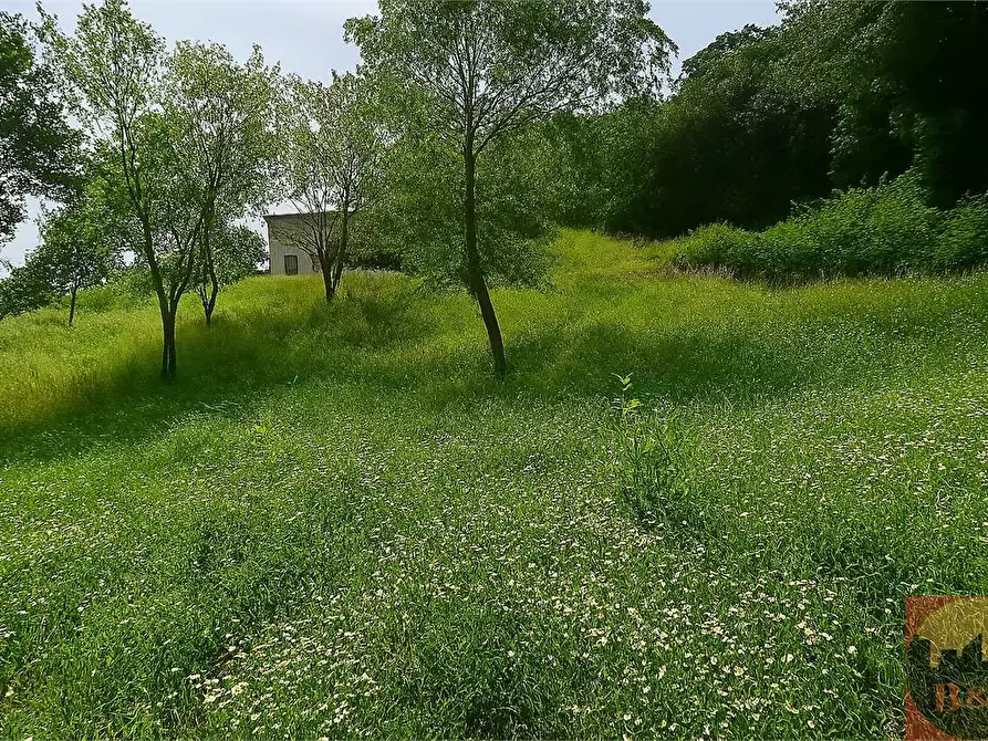 Immagine 162 di Villa in vendita  in Regione Carlevè 36 a Villarbasse