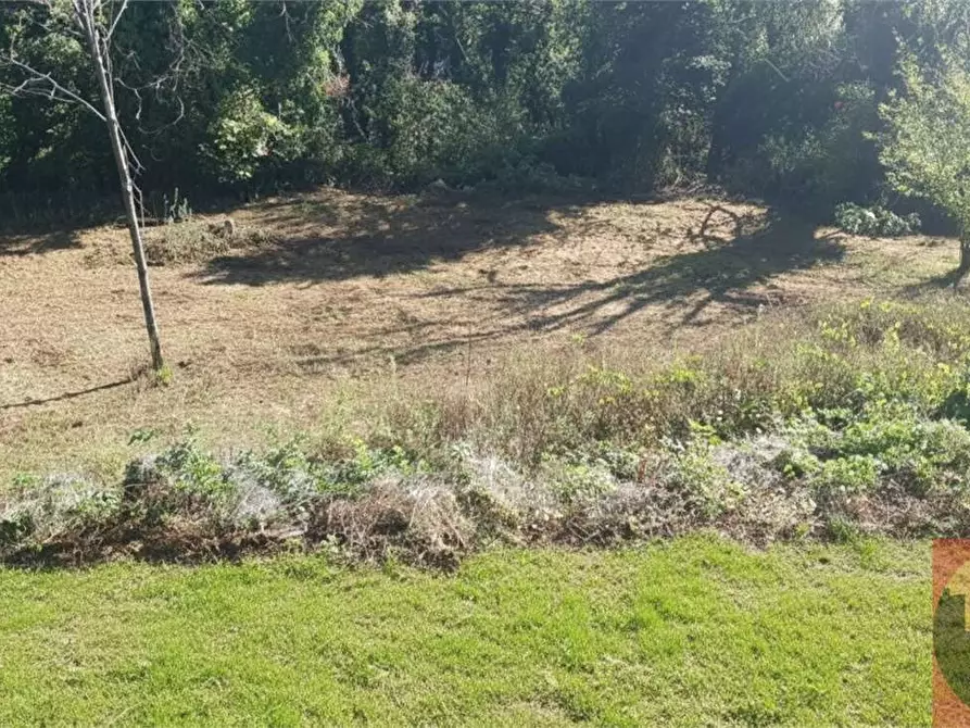 Immagine 163 di Villa in vendita  in Regione Carlevè 36 a Villarbasse