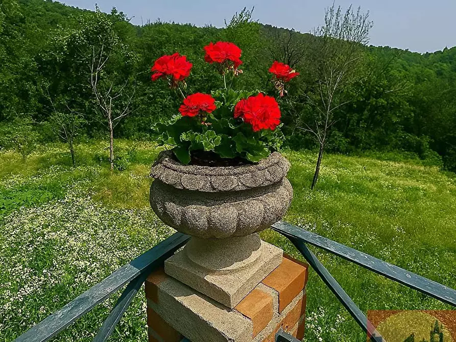 Immagine 165 di Villa in vendita  in Regione Carlevè 36 a Villarbasse