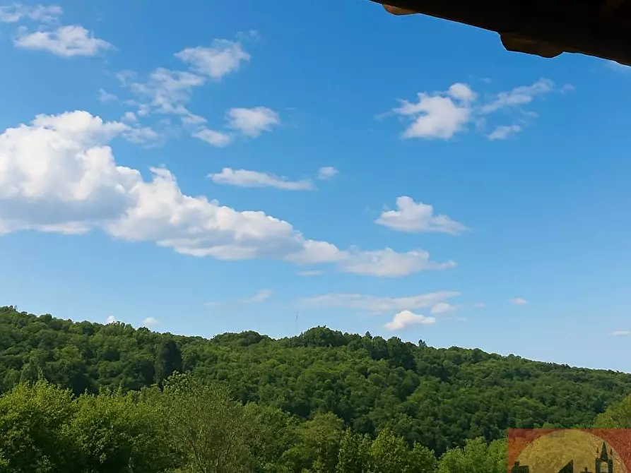 Immagine 58 di Villa in vendita  in Regione Carlevè 36 a Villarbasse