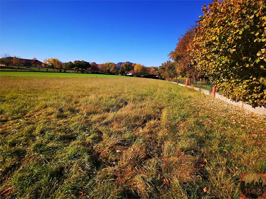 Immagine 6 di Terreno agricolo in vendita  a Villarbasse