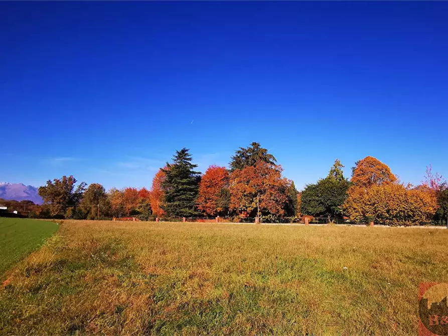 Immagine 8 di Terreno agricolo in vendita  a Villarbasse