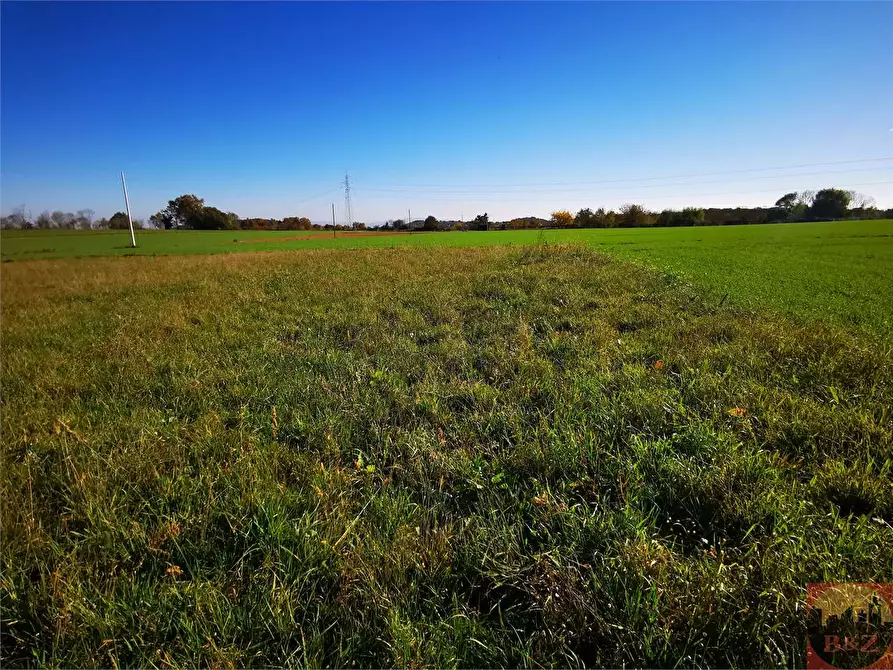 Immagine 9 di Terreno agricolo in vendita  a Villarbasse