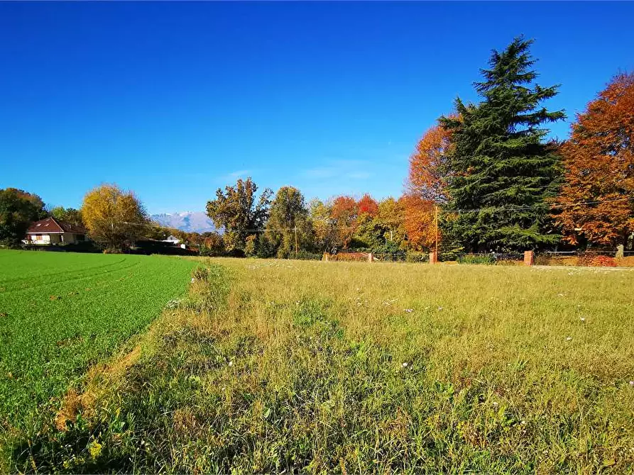 Immagine 10 di Terreno agricolo in vendita  a Villarbasse