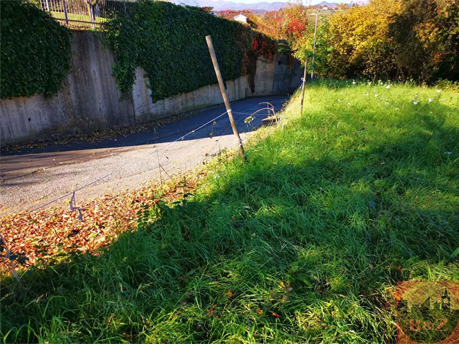 Immagine 4 di Terreno agricolo in vendita  a Villarbasse