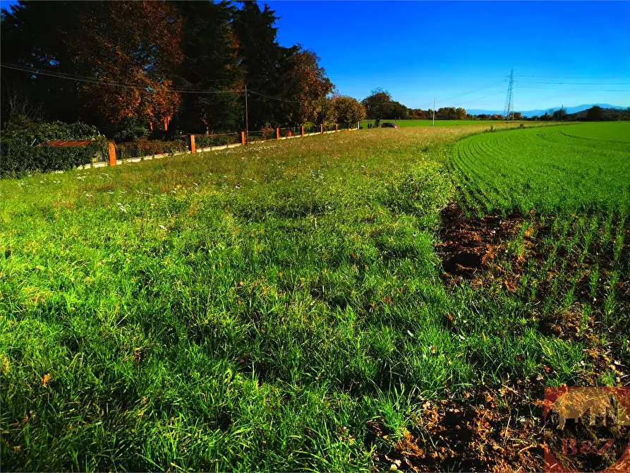 Immagine 2 di Terreno agricolo in vendita  a Villarbasse