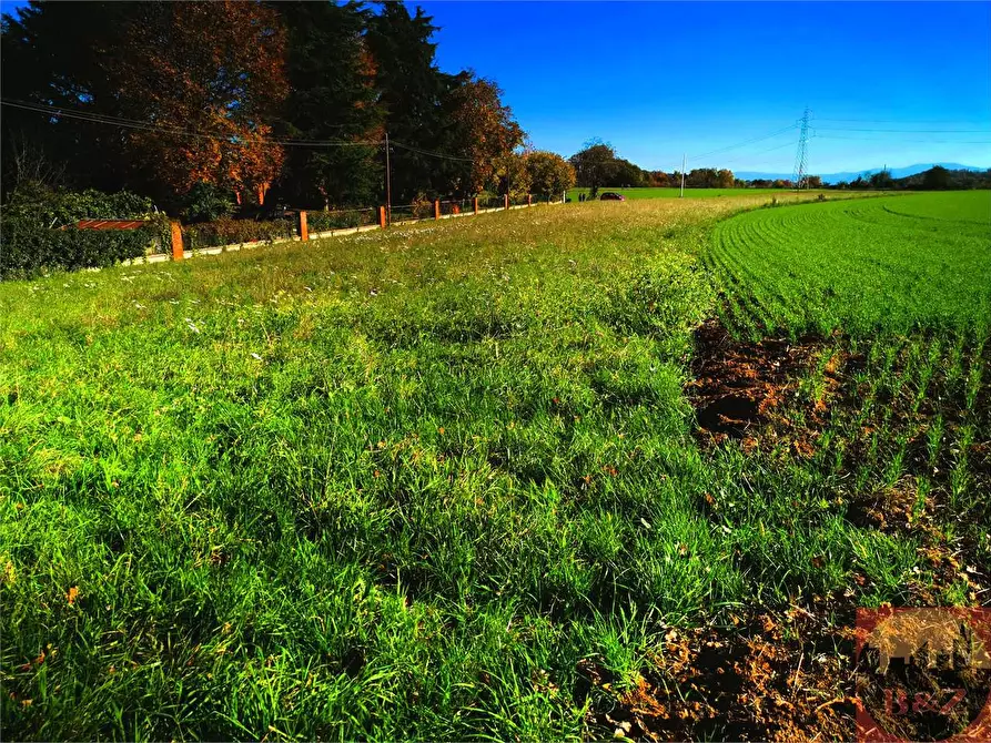 Immagine 7 di Terreno agricolo in vendita  a Villarbasse