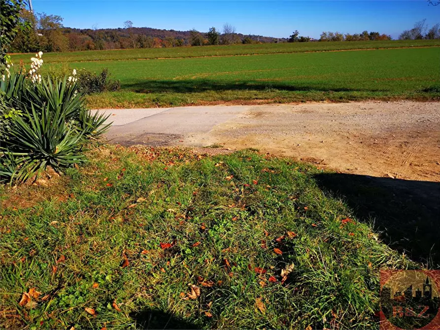 Immagine 5 di Terreno agricolo in vendita  a Villarbasse