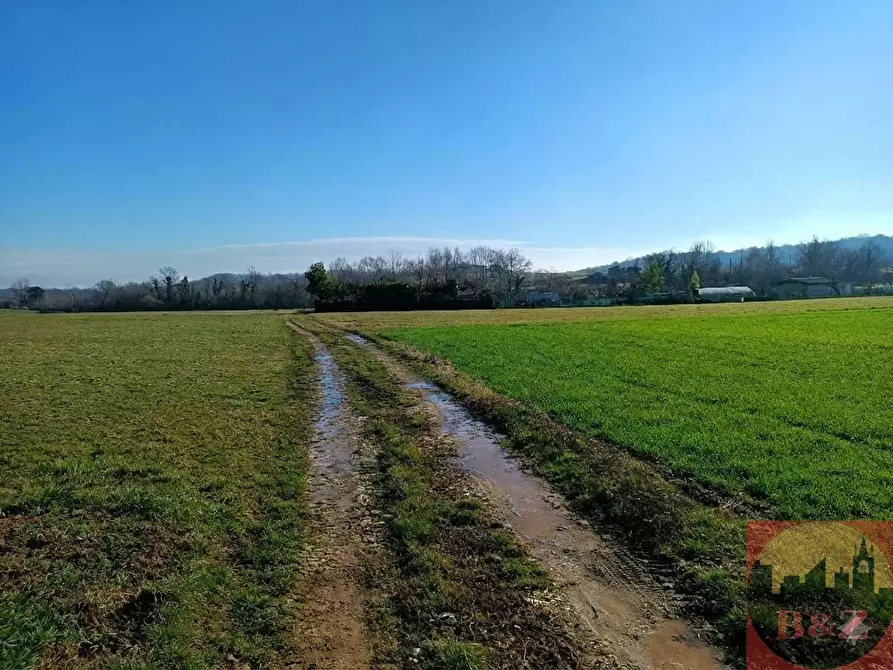 Immagine 10 di Terreno agricolo in vendita  a Villarbasse