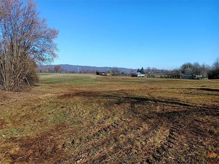 Immagine 11 di Terreno agricolo in vendita  a Villarbasse