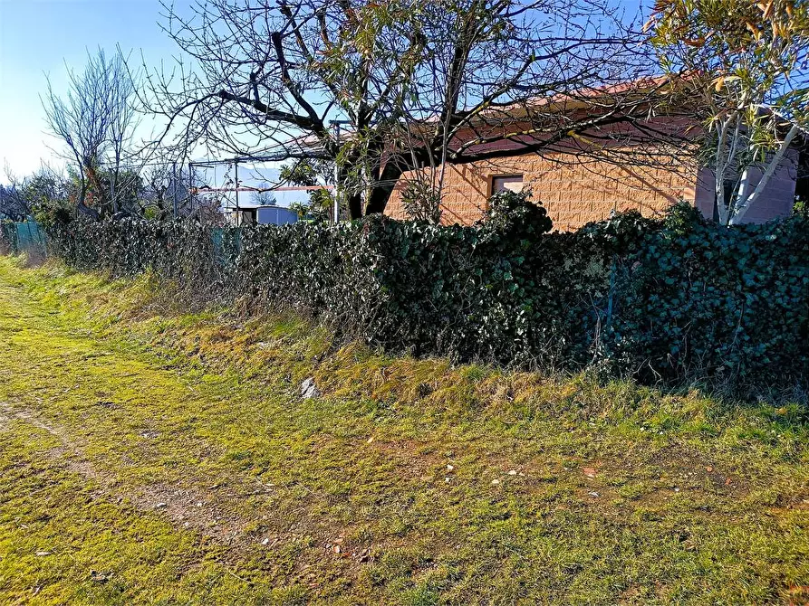 Immagine 14 di Terreno agricolo in vendita  a Villarbasse