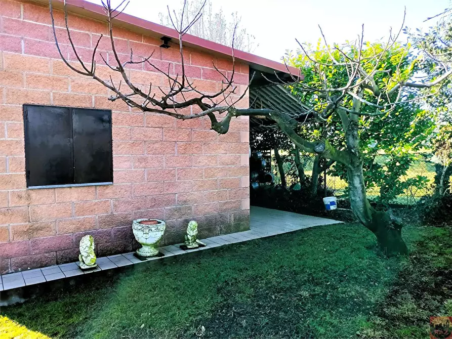 Immagine 18 di Terreno agricolo in vendita  a Villarbasse