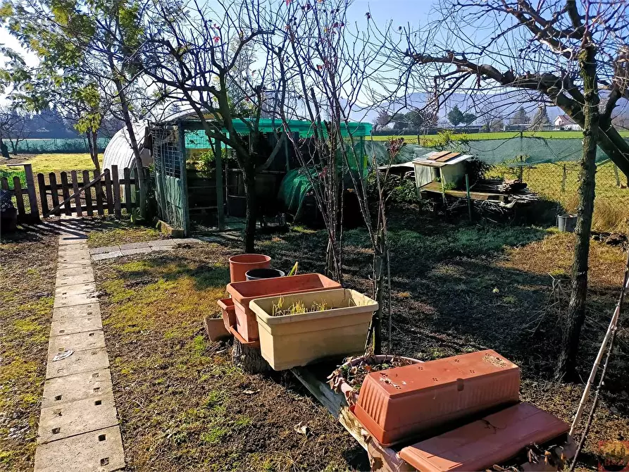 Immagine 39 di Terreno agricolo in vendita  a Villarbasse