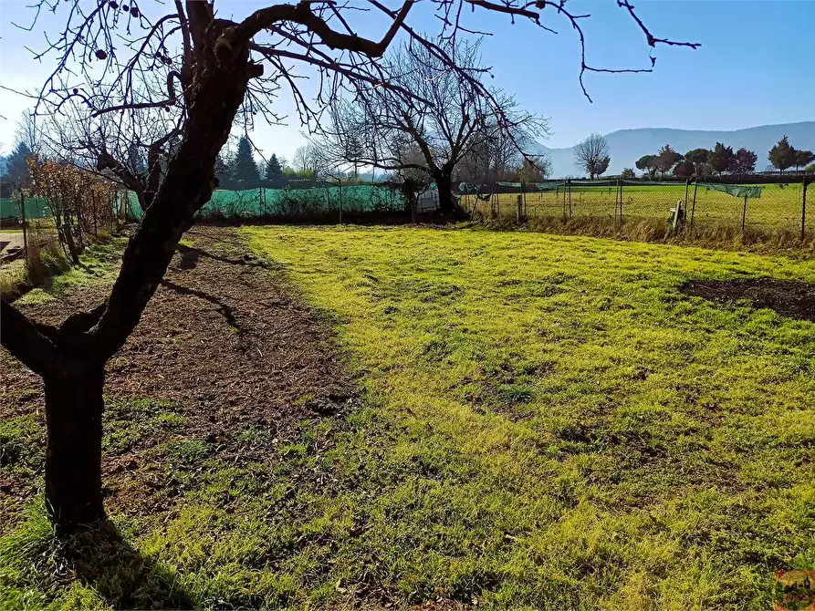Immagine 46 di Terreno agricolo in vendita  a Villarbasse