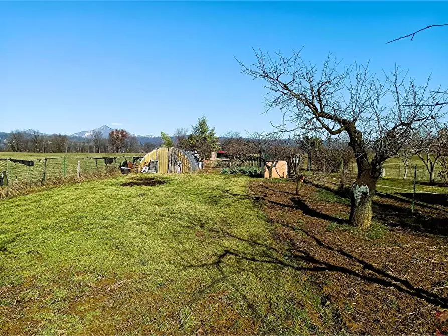 Immagine 47 di Terreno agricolo in vendita  a Villarbasse