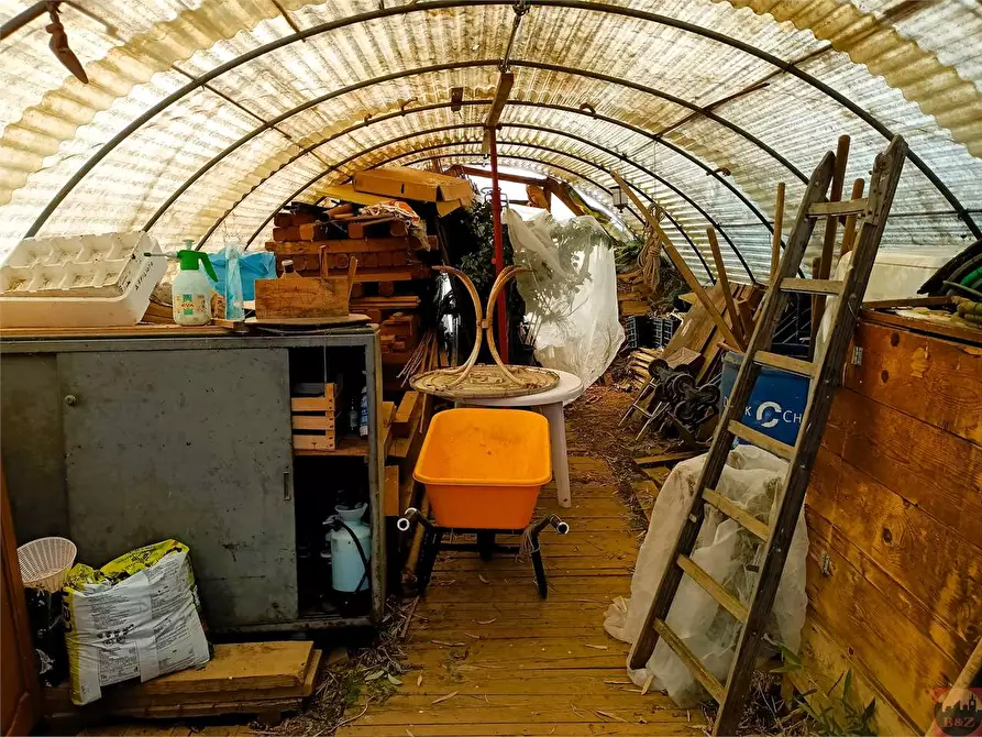 Immagine 44 di Terreno agricolo in vendita  a Villarbasse