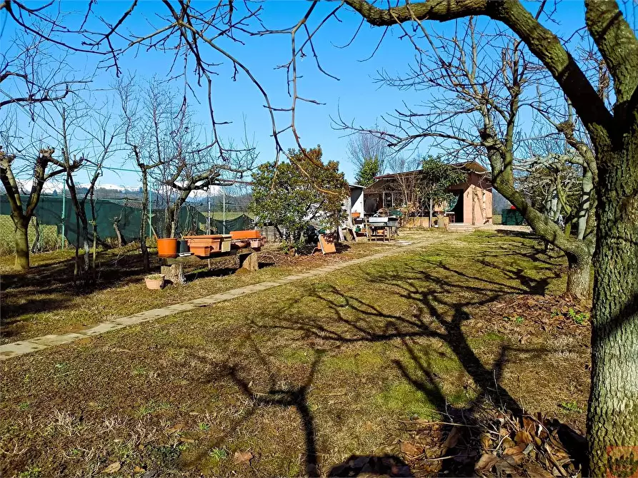 Immagine 35 di Terreno agricolo in vendita  a Villarbasse