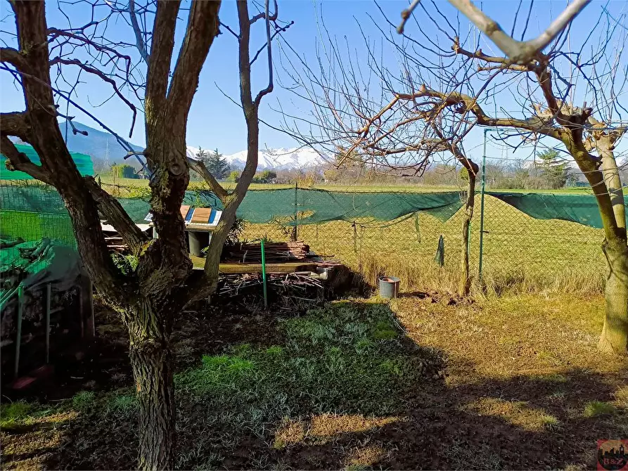 Immagine 53 di Terreno agricolo in vendita  a Villarbasse