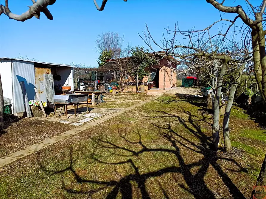 Immagine 3 di Terreno agricolo in vendita  a Villarbasse