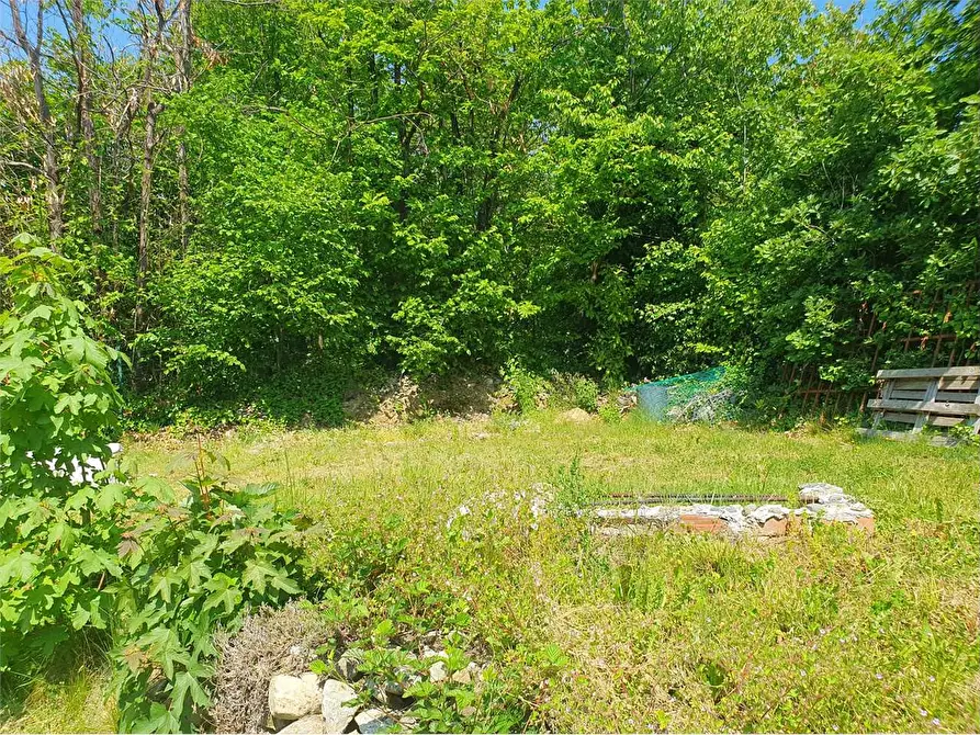 Immagine 7 di Rustico / casale in vendita  in Via della Giachera snc a Reano
