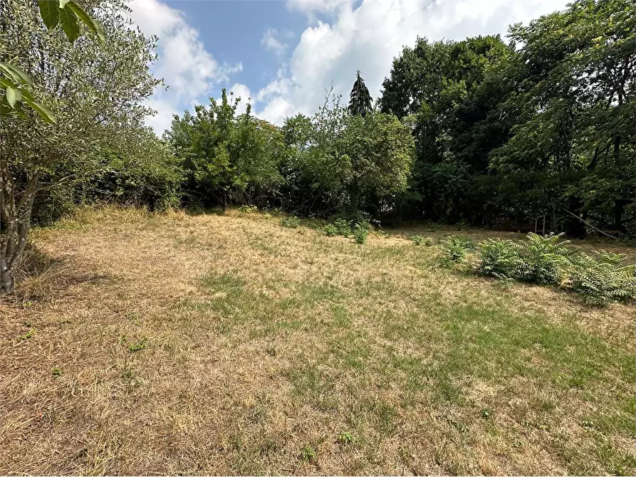 Immagine 26 di Rustico / casale in vendita  in Via Ciaine 53 a Val Della Torre