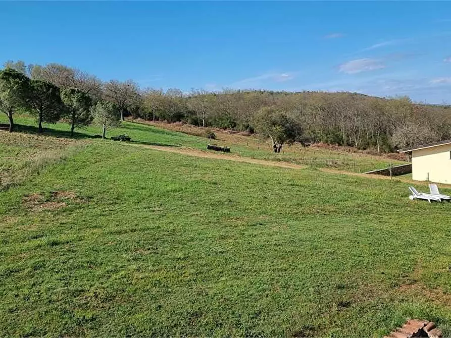 Immagine 8 di Casa indipendente in vendita  in della madonnina 1 a Civitella Paganico