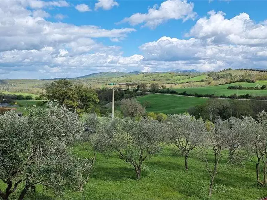 Immagine 14 di Casa indipendente in vendita  in della madonnina 1 a Civitella Paganico