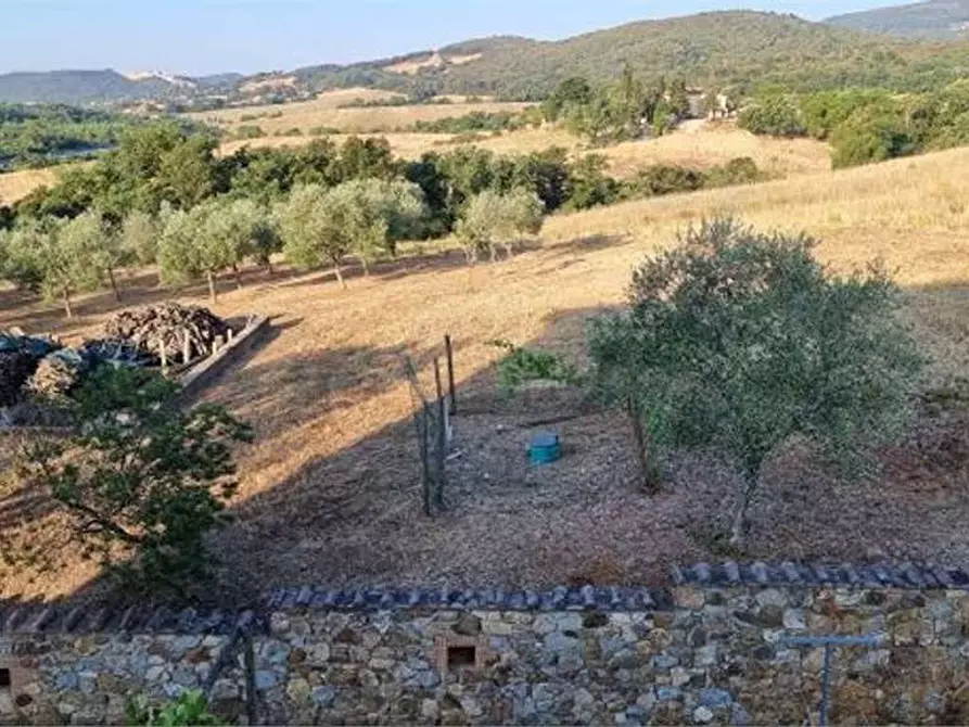 Immagine 28 di Casa indipendente in vendita  in della madonnina 1 a Civitella Paganico