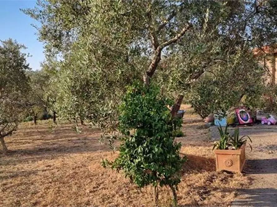 Immagine 29 di Casa indipendente in vendita  in della madonnina 1 a Civitella Paganico
