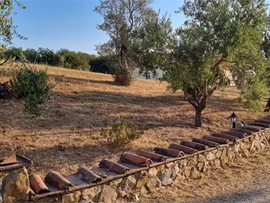 Immagine 30 di Casa indipendente in vendita  in della madonnina 1 a Civitella Paganico