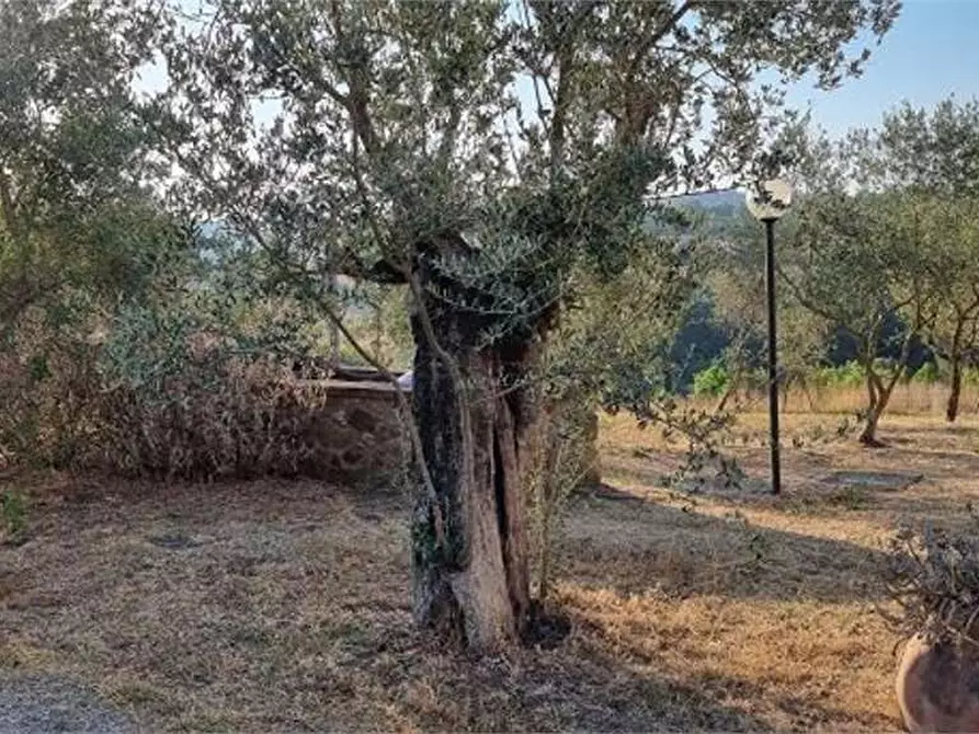 Immagine 31 di Casa indipendente in vendita  in della madonnina 1 a Civitella Paganico