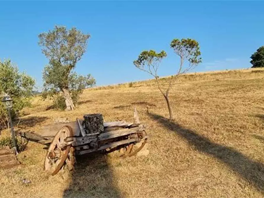 Immagine 32 di Casa indipendente in vendita  in della madonnina 1 a Civitella Paganico